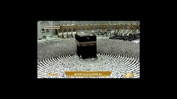 تلاوة فجرية من الحرم المكي روعة، بصوت القارئ الشيخ - بدر التركي _ سورة الحاقة.