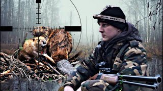 Охота на бобра. Трофей сезона. Закрыли все лицензии. Beaver hunting