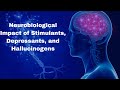 Neurobiological Impact of Stimulants Depressants and Hallucinogens