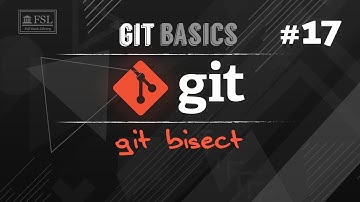 #17 Track Down Bugs (git bisect)