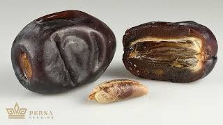 Mazafati Date is known as Bam Date in Iran, or Kimia Dates in India.
