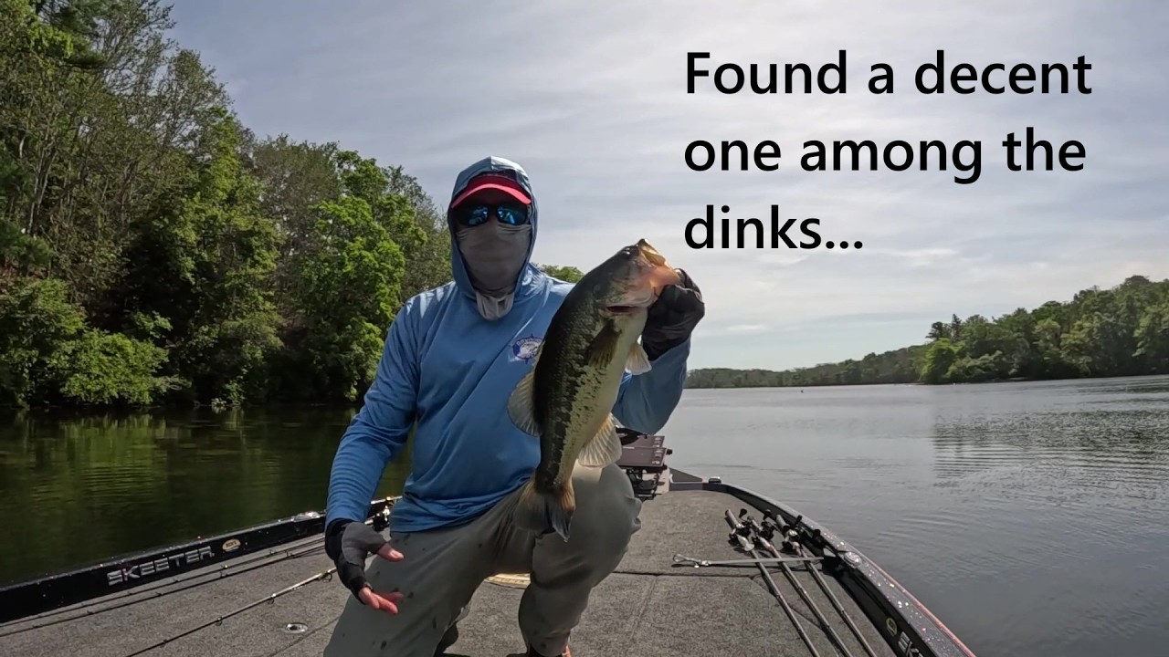 We had a dink fest of a day.