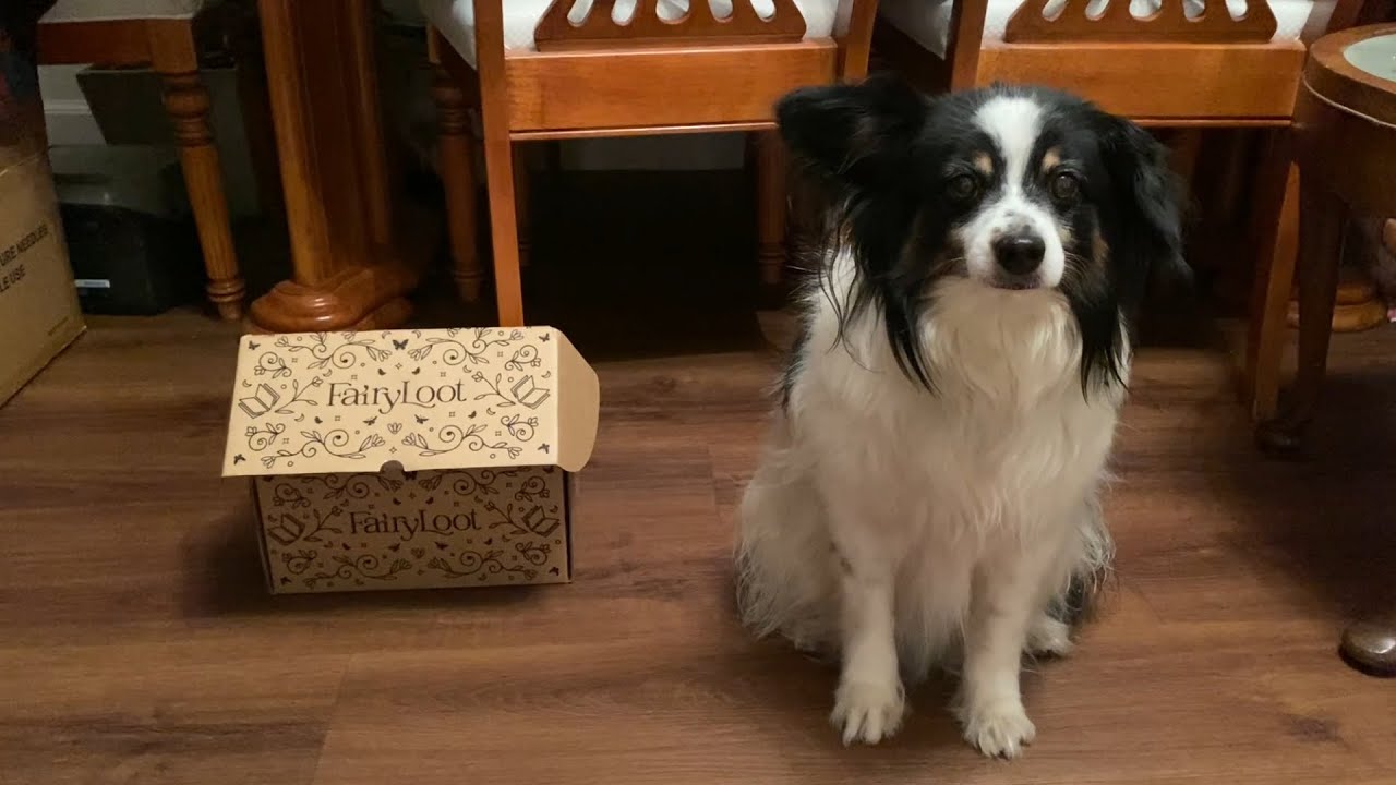 Fairyloot YA Unboxing - February 2026