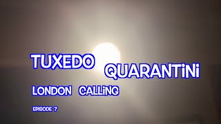 Tuxedo_Quarantini_E7