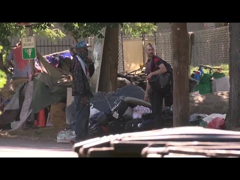 Homeless camp cleanup underway near Morey Middle School