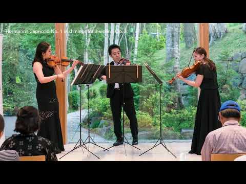 Hermann: Capriccio No. 1 in d minor for 3 violins, Op. 2