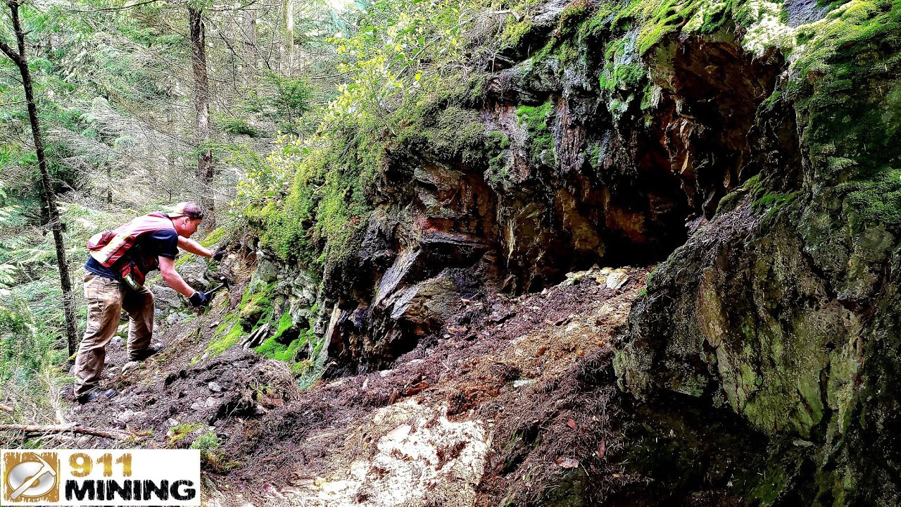 Blasted Rock Outcrop In The Middle Of the Forest Has Mineral!