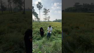 Hijab Apna Shezadi Islamic
