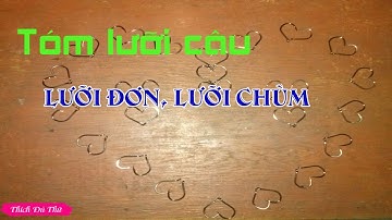 Hướng dẫn tóm lưỡi câu tôm, cá ngát, mè vinh