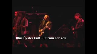 View Blue Öyster Cult - Burnin' for You Live Performance in Chicago