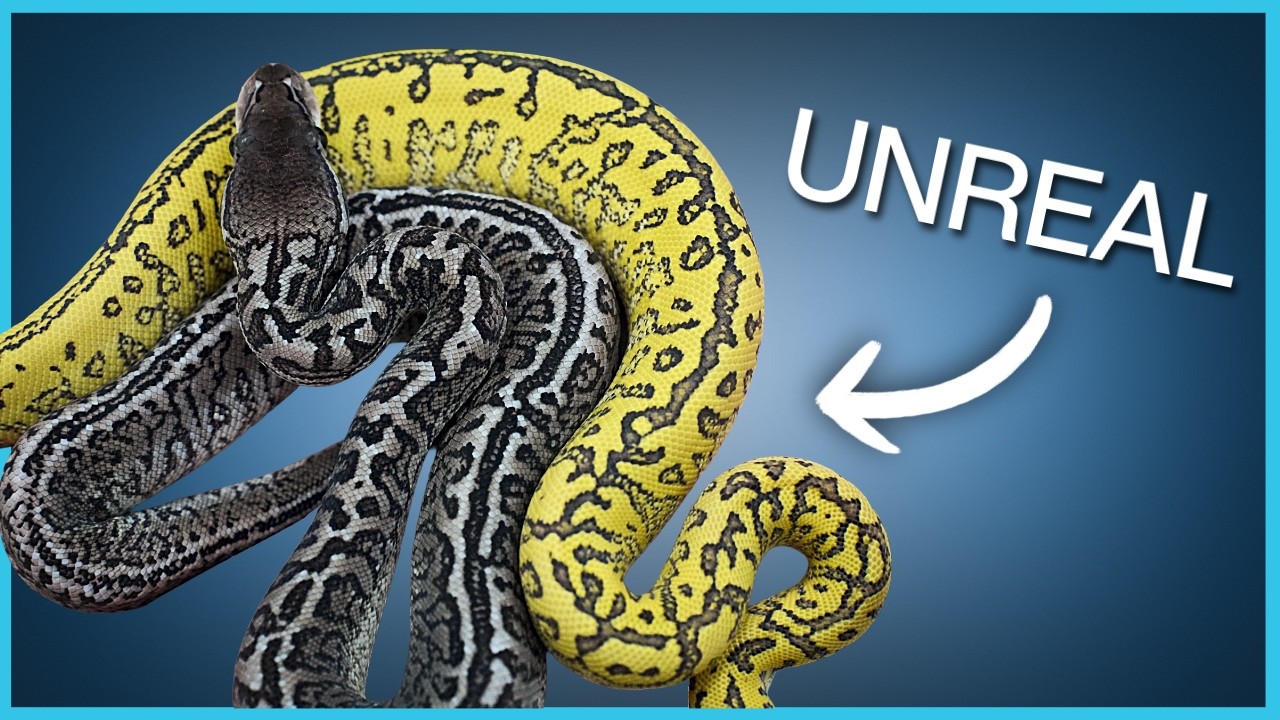 A WORLD’S FIRST that blew us away!