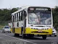 Axé ônibus de Salvador P1