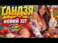 Баламут Гандзя Новий хіт Українська Зальна Пісня Новинка 2026 Баламут Гандзя Новий хіт Українська Зальна Пісня Новинка 2026