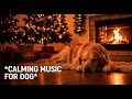 Calm Your Anxious Dog with 12 HOURS of Soothing Music 💤 | Perfect for Separation Anxiety