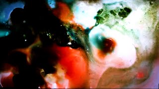 Download Lagu Fien VANDEVOORDE / Showreel 2025 MP3