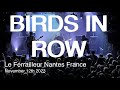 Birds in row live full concert 4k  le ferrailleur nantes france november 12th 2023