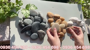 Sỏi tự nhiên trang trí tiểu cảnh