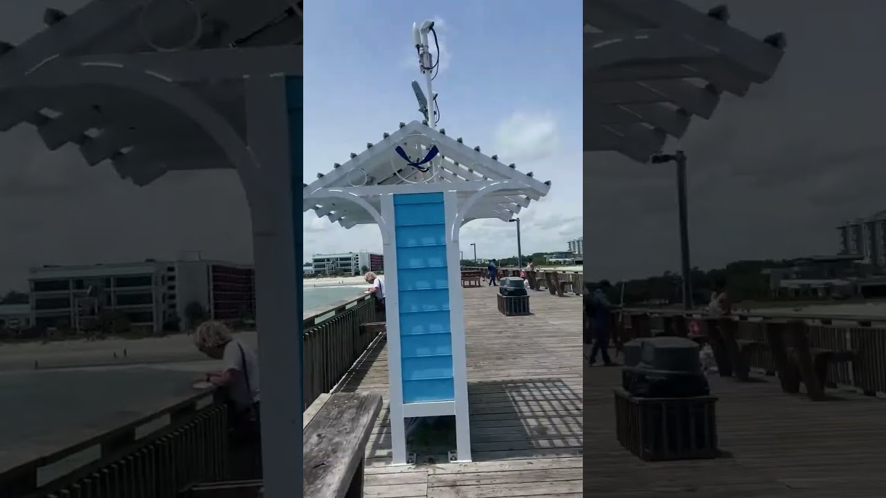 Enjoying the Ocean view