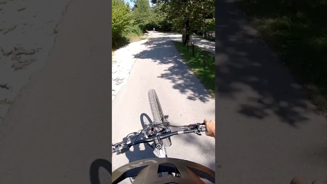 Always On One Wheel Shorts