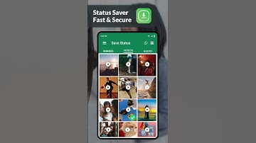 How to Save WhatsApp Status to Your Gallery | Status Saver 2024