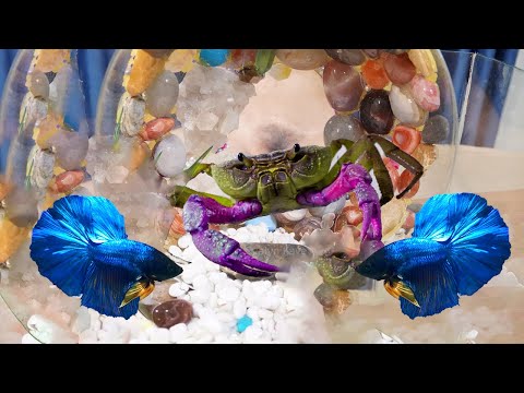 Casino WildSino: Pelata kasinoa verkossa sujuvasti suomen kielin