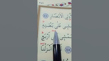 سورة النور الأية 44 إلى 45 القارئ سعد الغامدي