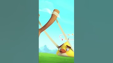 Piggies Go Digital! 💻🐷