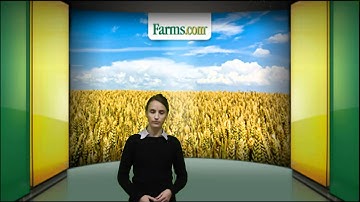 Farms.com Crop Report:  USDA WASDE Report Released