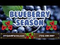 Triple B Blueberry Season is HERE! Come Pick Your Own