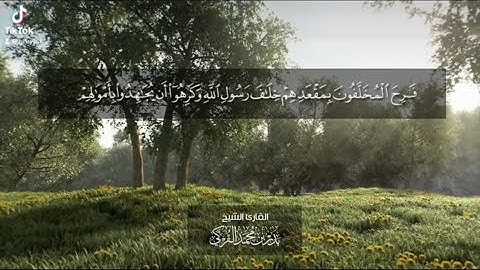 بدر التركي - سورة التوبة