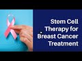 Stem cell for breast cancer treatment   lyfboat