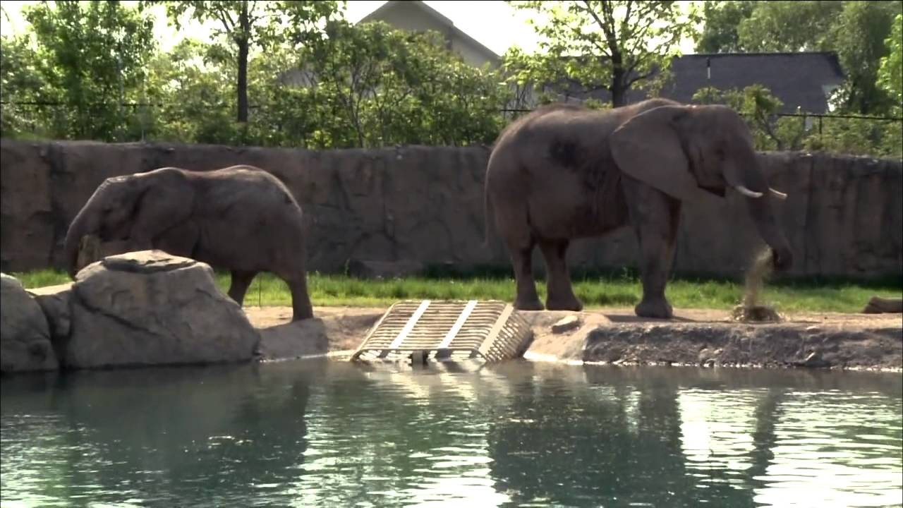 Former Friday Zone Host Chad Quandt Interview