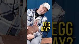 Kevin Gets Extra Cuddly Before She Lays An Egg ❤️