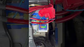 IMG 3820