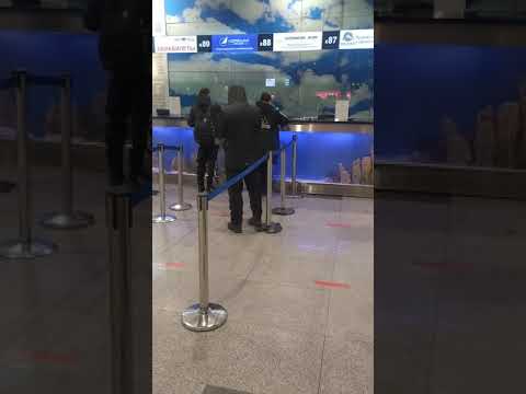 Аэропорт Домодедово билеты