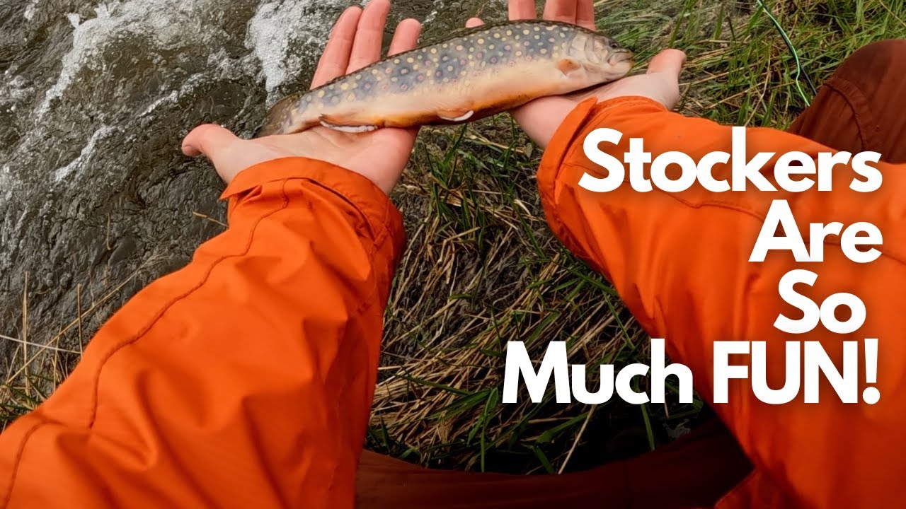 Fly Fishing For Trout Early Season Brook Trout In The Rain YouTube