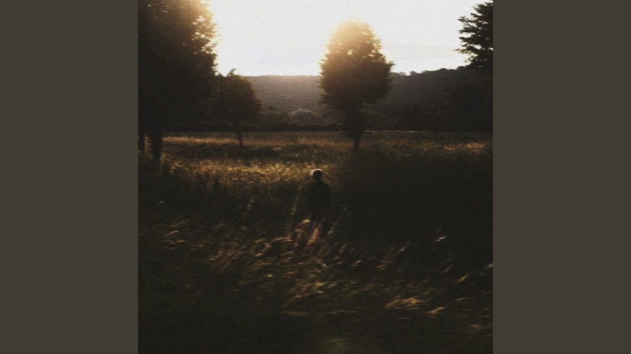 Guarda golden fields su YouTube Guarda golden fields su YouTube