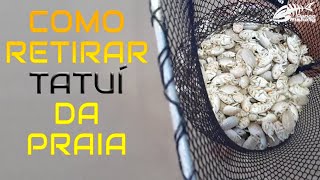 COMO RETIRAR TATUÍ DA AREIA DA PRAIA - DICAS DE PESCA #47 Resimi