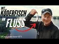 Mit Köderfisch am Fluss! Zanderangeln