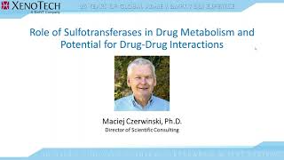 Role of Sulfotransferases in Drug Metabolism and Potential for Drug Drug Interactions