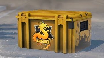 OPENING CS2 CASE UNTIL KNIFE DAY 206