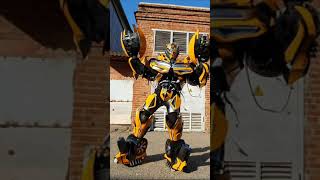 Bumblebee Dancing Robot
