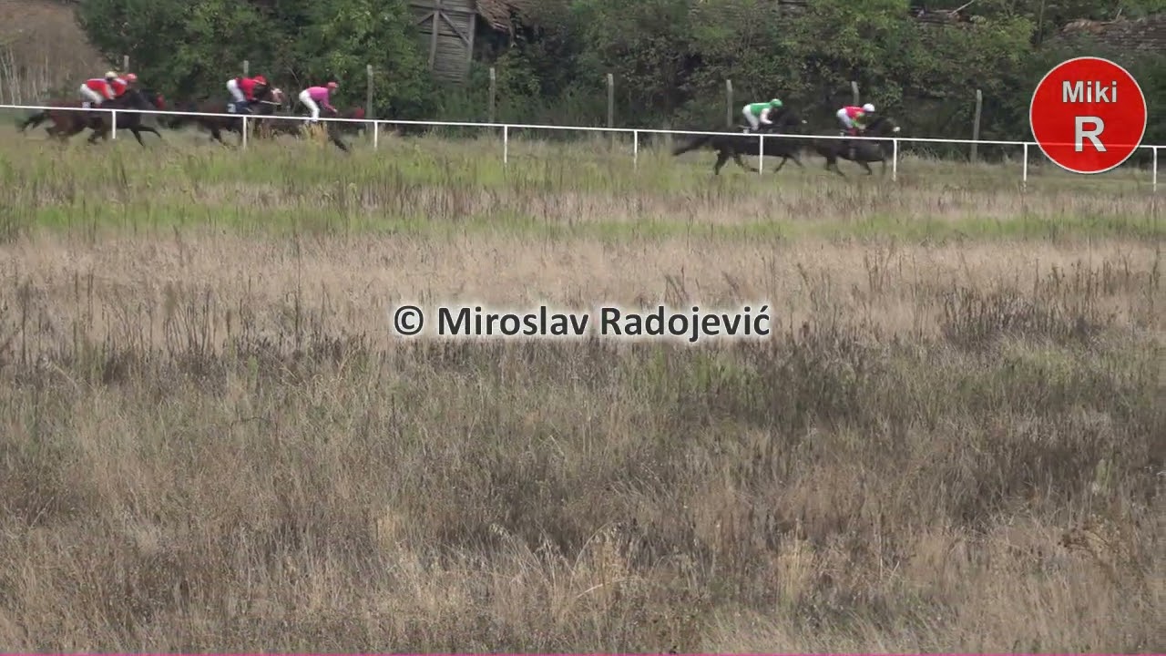 5 ta trka Macvanski DERBY