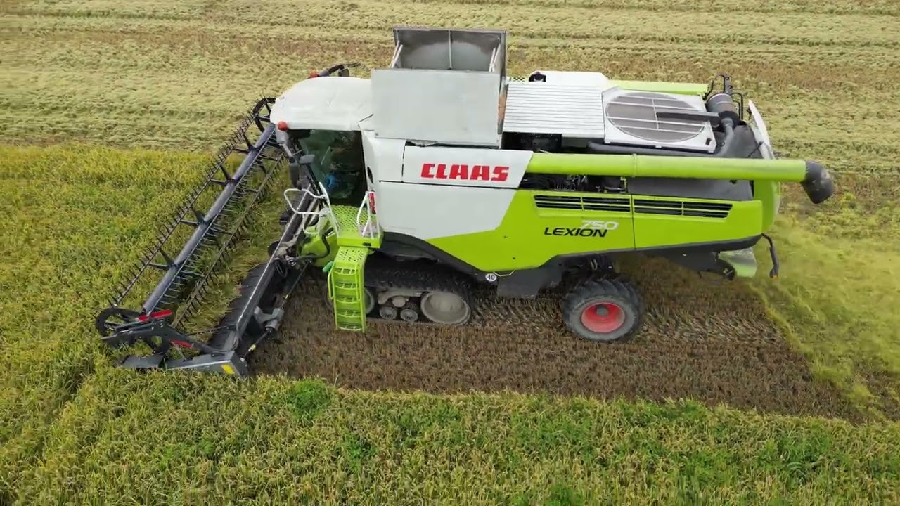 DOMINONI TOP DRAP 740 LEXION 750 RISO 2025