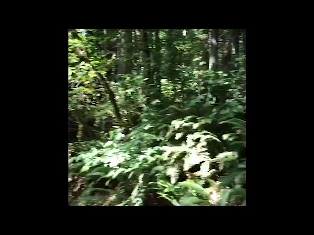 Donepezil (Aricept) Infomercial