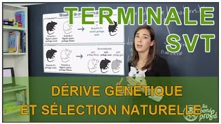 Dérive génétique et sélection naturelle - SVT - Terminale - Les Bons Profs