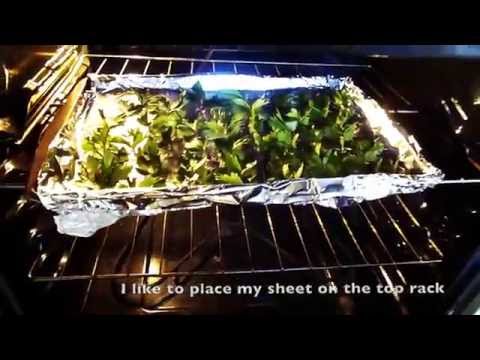 Como ervas facilmente e rapidamente secos (Dry Salsa)