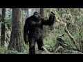 Scarborough sasquatch stations update bigfoot