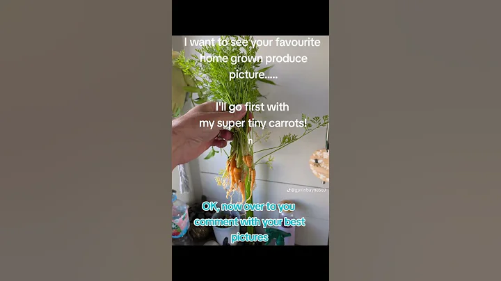 Show me yours!! #garden #gardening #funny #foryou #fyp