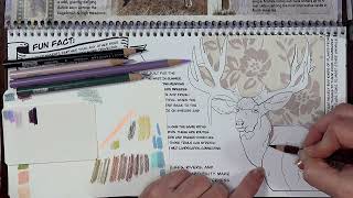 How to Color a Mule Deer | North American Wildlife Art Tutorial for Kids